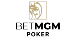 BetMGM Poker Michigan